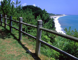 高野坂