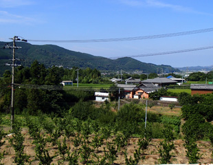 下鮎川の河岸段丘