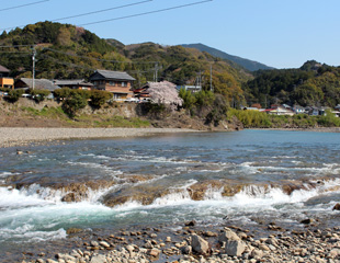 富田川の川替え跡