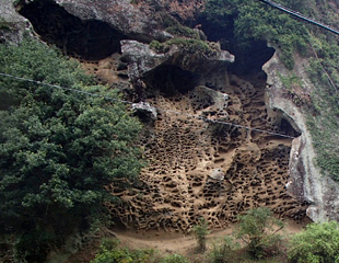 牡丹岩