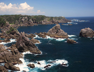 海金剛
