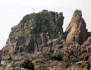 大島の火成岩