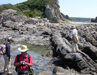 田の崎