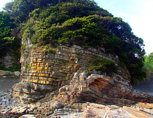 和深海岸