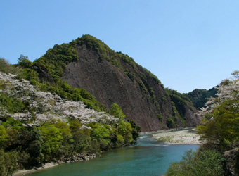 古座川の一枚岩(古座川町)