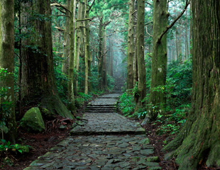 Daimon-zaka Slope