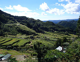 Tanada(rice terrace) in Irokawa